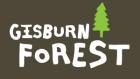 Gisburn Forest